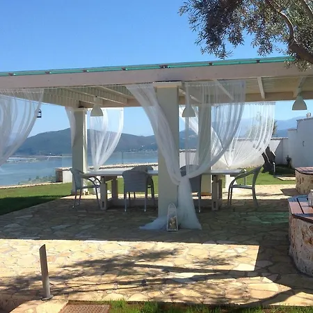 فيلة Thea Thalatta *